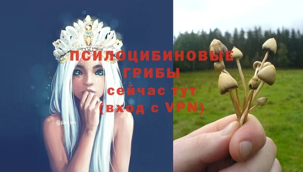 дурь Абинск