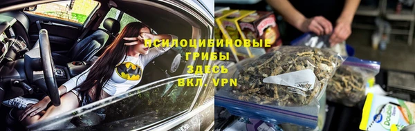 дурь Абинск